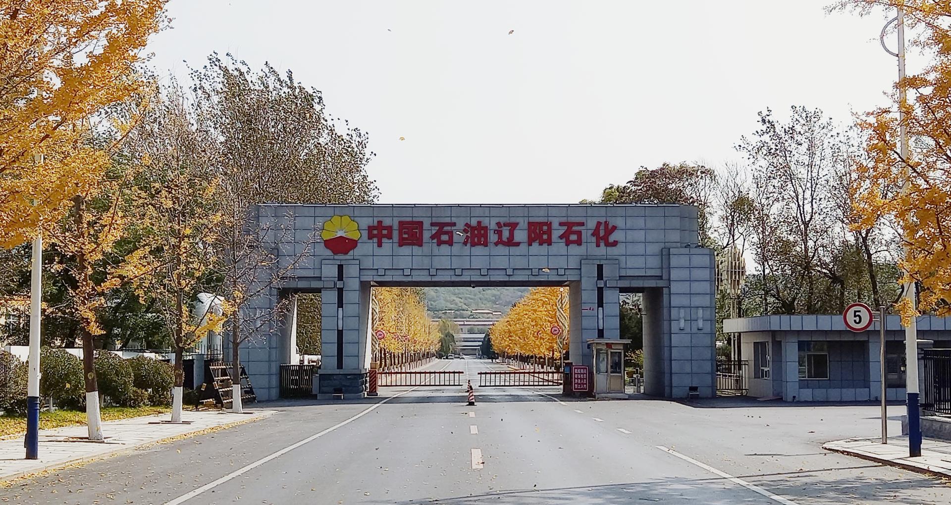 NG������̩-NG�������뼯��